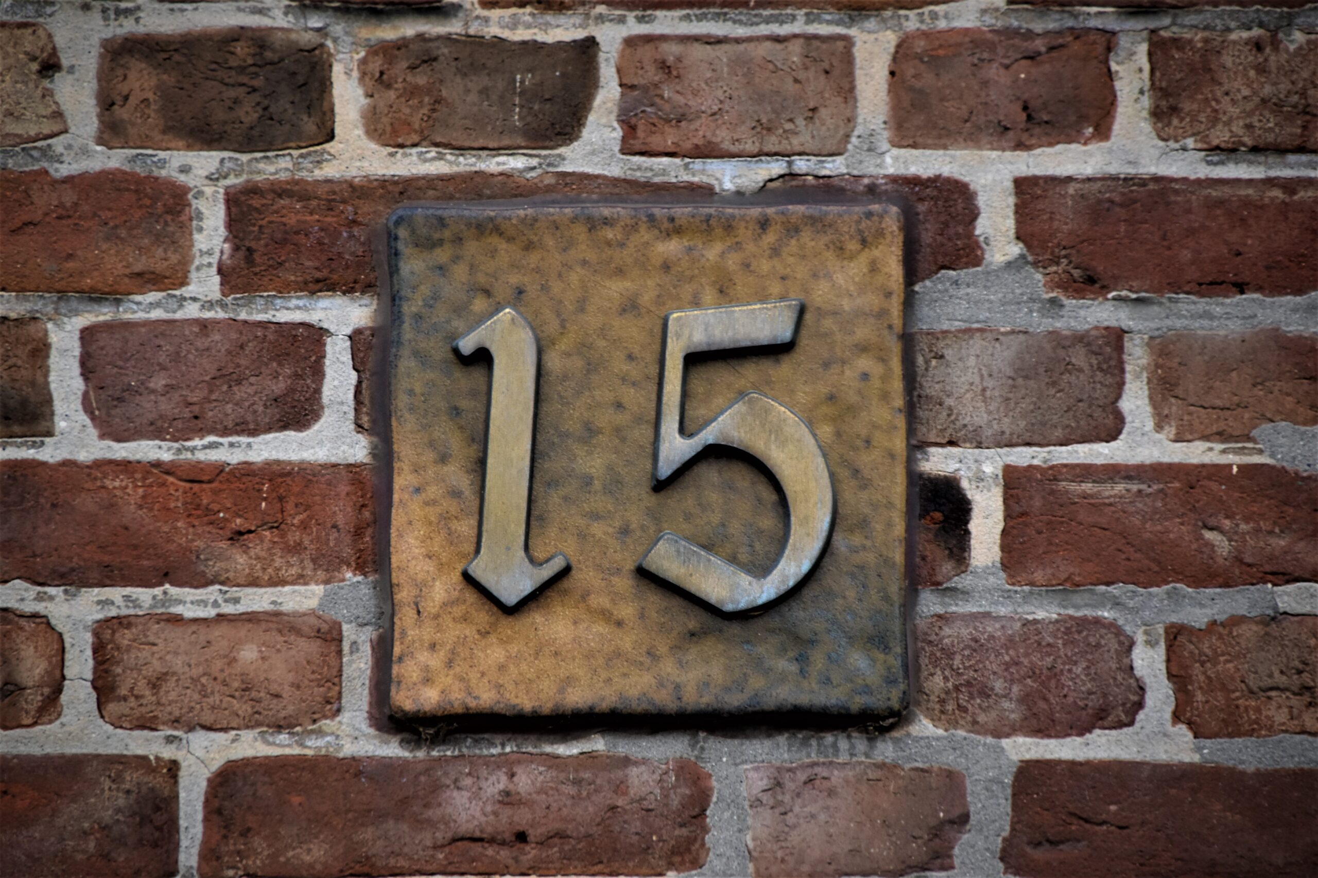 Thoughts on My 15th Birthday